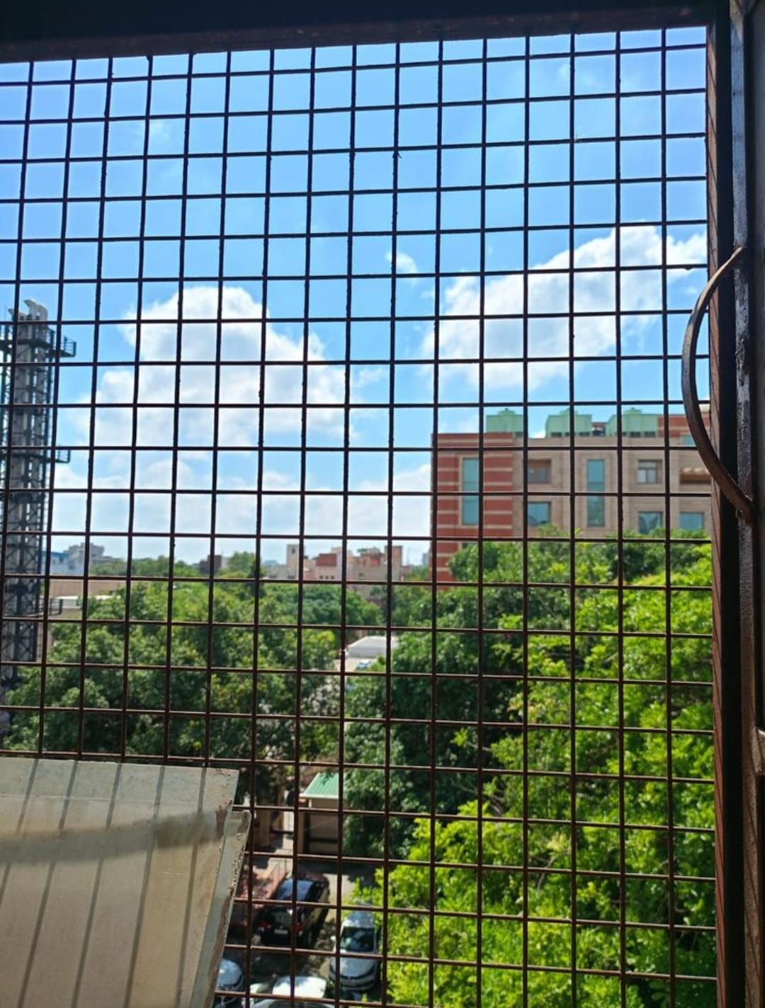 WhatsApp Image 2025-12-03 at 17.15.51 (1)